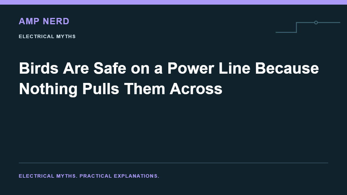 Amp Nerd article cover: Birds Are Safe on a Power Line Because Nothing Pulls Them Across