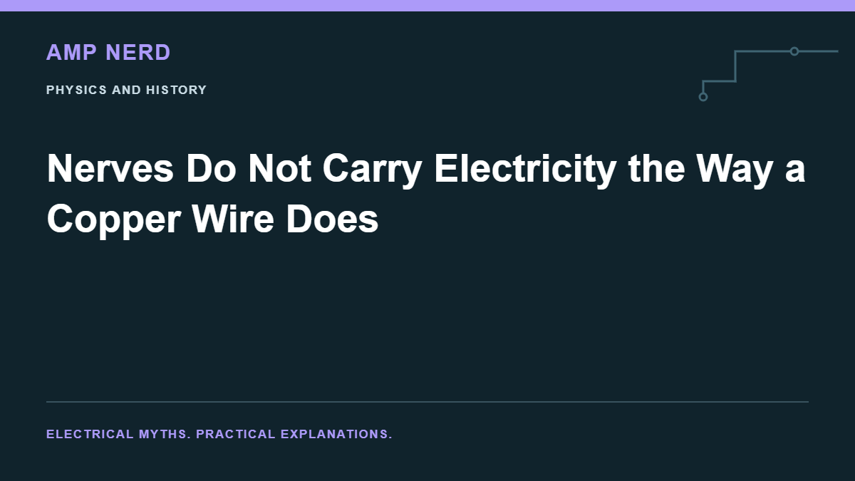 Amp Nerd article cover: Nerves Do Not Carry Electricity the Way a Copper Wire Does